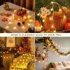 HEYFUNi Warm White Star String Lights,39FT 100LED Plug In Fairy Twinkle Lights with 8 Modes Waterproof for Indoor Outdoor Christmas
