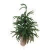 Christmas Decoration Artificial Xmas Tree Mini Xmas Pine Tree Tabletop Centerpiece for Home Holiday Indoor Dining Table Decor