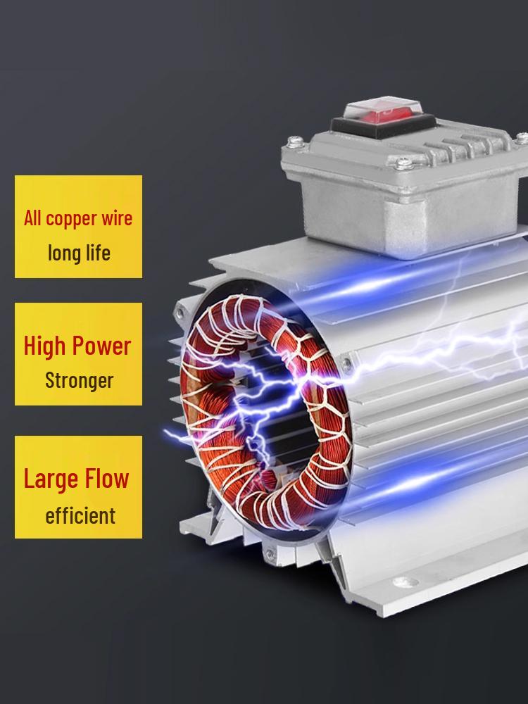 High-Power Diesel Electric Self-Priming Oil Transfer Pump, 12V/24V/220V, 550W Vehicle-Mounted Fuel Dispenser