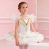 Puffy Kids Ballet Dress Modern Princess Dress Fashion Performance Clothes  Children