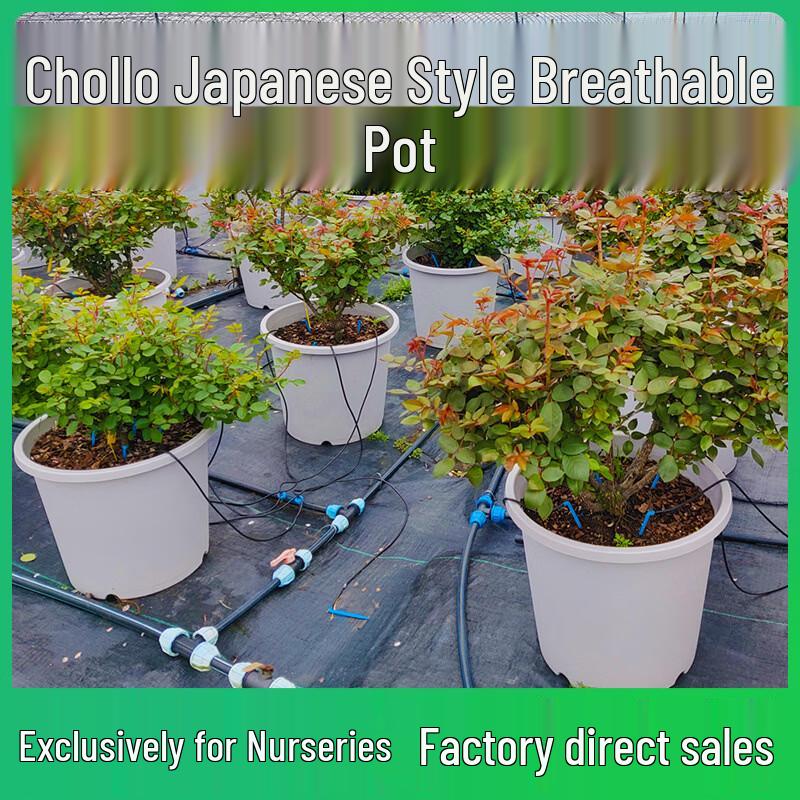 HC Deep Rose Garden Pots