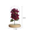 Valentine's Day decorative gift rose eternal flower lighting ornament creative home night light ornament