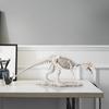 Harz-Handwerkssachen Simulierte Dinosaurier Tyrannosaurus Rex Modell Fossilien-Skelett Abstrakte Tier-Skulptur Dinosaurierknochen
