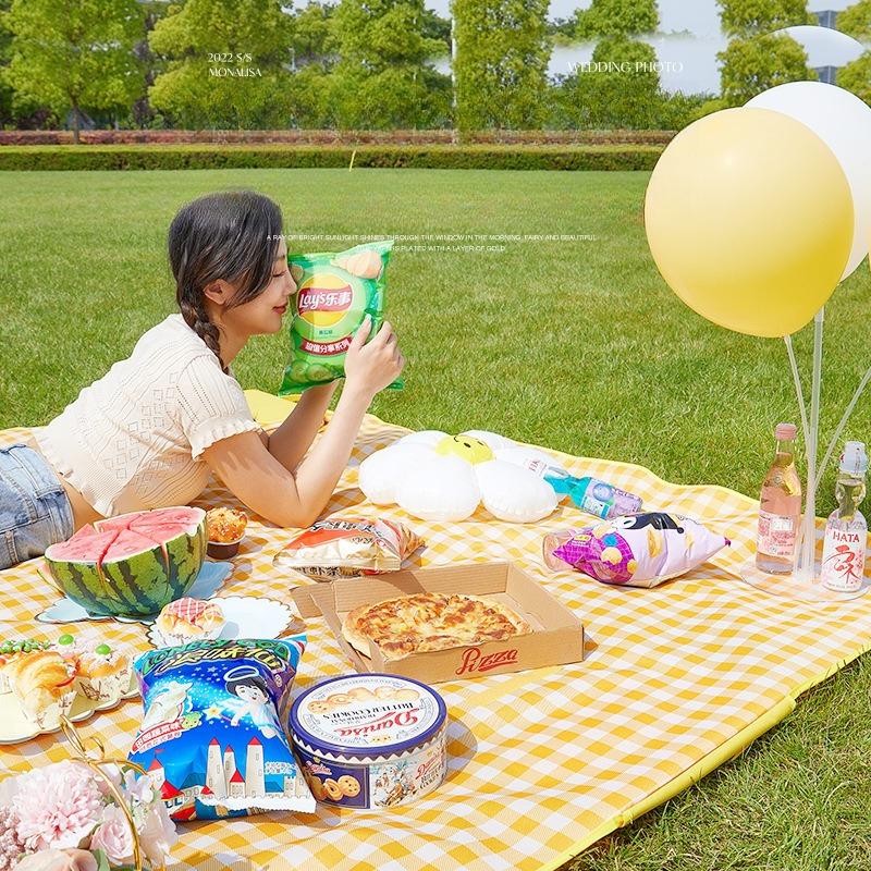 Thickened Waterproof Picnic Pad Friends Gathering Moisture Proof Floor Mat Outdoor Camping Beach Grassland Activity Mat Handheld for Easy Carrying