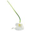 Fotografie Künstliche Blume Waschbare Weihnachtsdekoration 10 Stück Fake