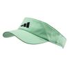 Aeroready Visor (IP2769)