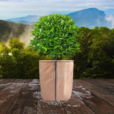 Flower Winter Pot Protection Bag Frost Multifunctional Garden Oxford Fabric Exterior