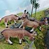 Wild African and Mongolian Donkey Model Set: Male, Female, Foal - Children's Educational Toy