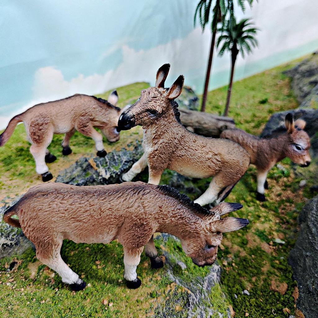 Wild African and Mongolian Donkey Model Set: Male, Female, Foal - Children's Educational Toy