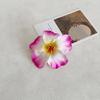 Hairpin Soft Strong Texture Lightweight Decorative Flower Hair Clip Realistic Flower Design Holiday Leisure Hair Pin
