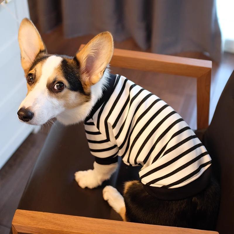 Pet Corgi Dog Clothes Spring and Autumn Clothing Anti-hair Loss Teddy Bichon Shiba Inu Small Dog Two-legged Striped Sweater Winter