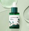 ROUND LAB Pine Calming Cica Ampoule 30ml