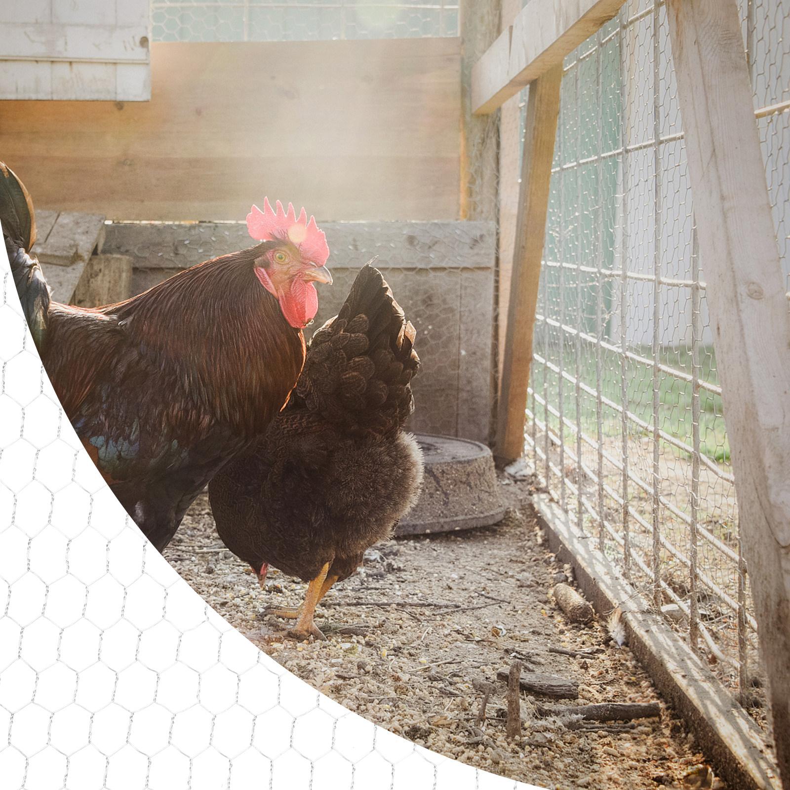 

Poultry Wire Mesh Chicken Fence Net Hexagonal Galvanized Iron Wire for Livestock Breeding Garden Raised Beds DIY Craft Decor 100X35X35CM