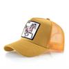 Summer Embroidery Baseball Cap - Animal Applique Mesh Snapback, Adjustable Breathable Hat in 3 Colors