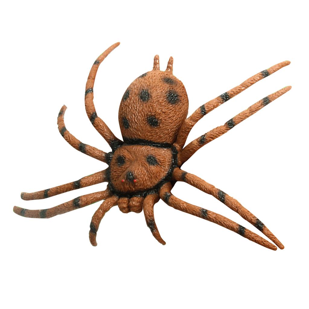 Spider Model Lifelike Exquisite Simulated Large Spider Toy for Teaching Entertainment Brown