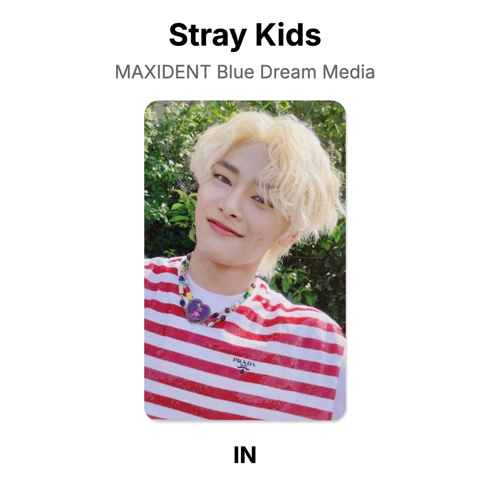 Stray Kids MAXIDENT Blue Dream Media Official Photocard I.N