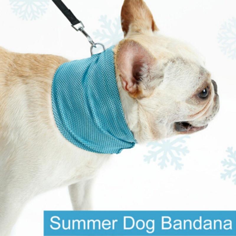 dog cooling scarf
