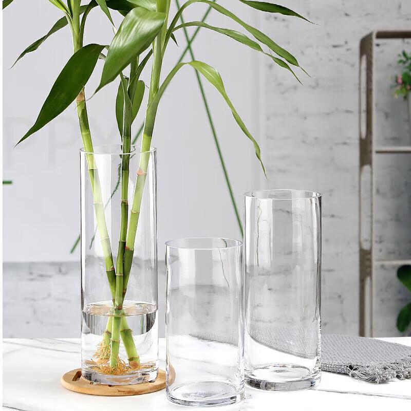 Decorative Glass Vases for Flower Arrangement