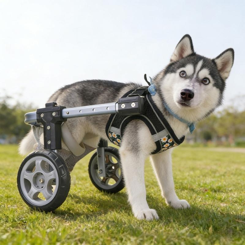 Walking Dog Cart For Disabled Pet Adjustable Dog Two Wheel Wheelchair Lightweight Mobility Aid Pet Support