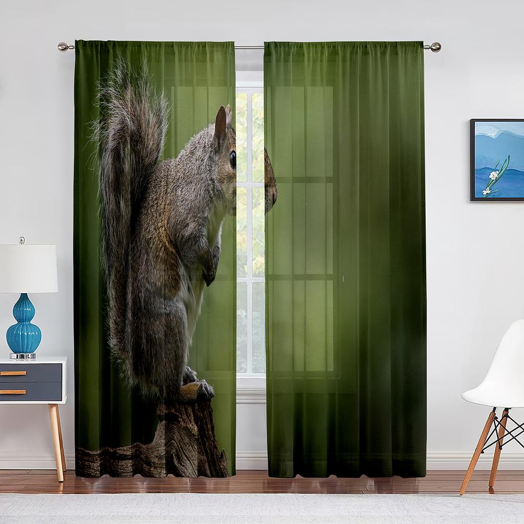 Squirrel Standing on Tree Branch Animal Sheer Voile Curtains for Living Room Modern Curtains for Kitchen Chiffon Tulle Curtain