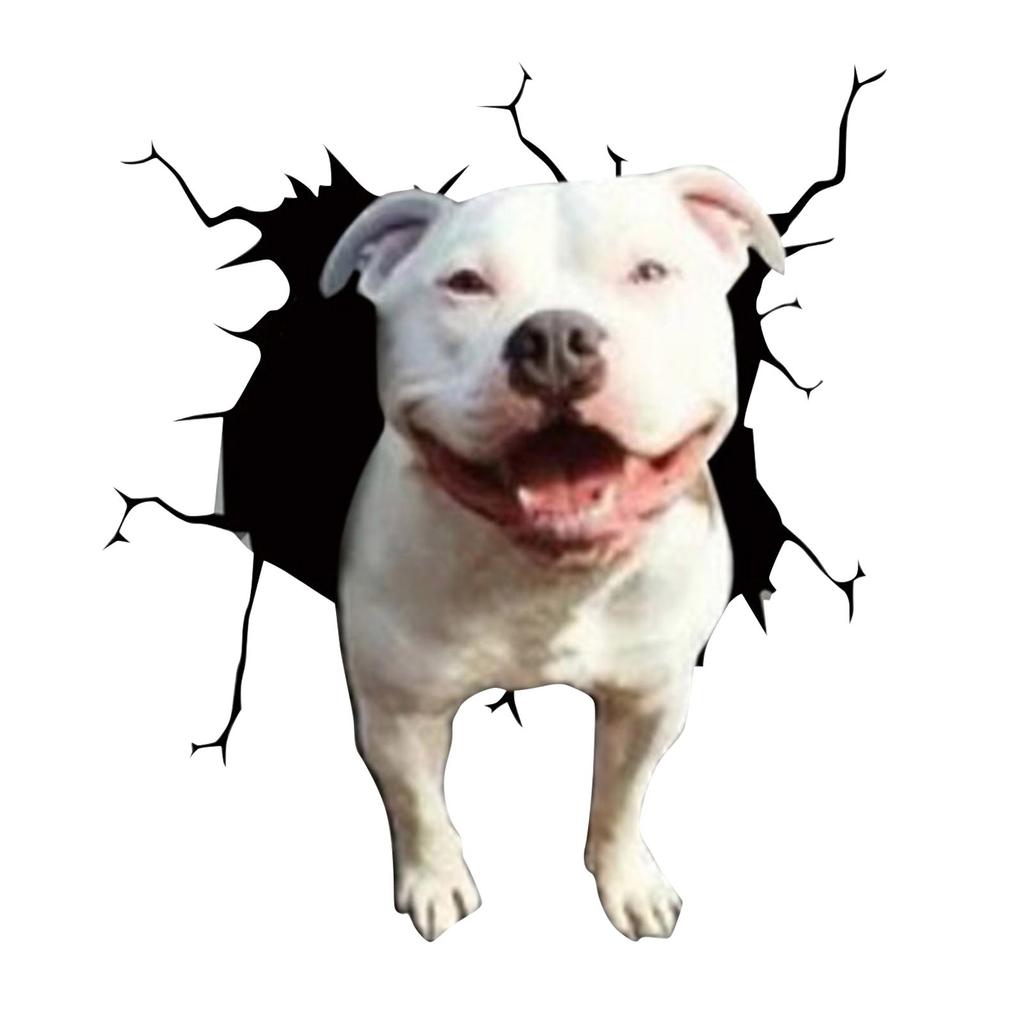 3D Dog Crack Sticker PVC Plastic Sticker Car Window Decal Laptop Funny Decals