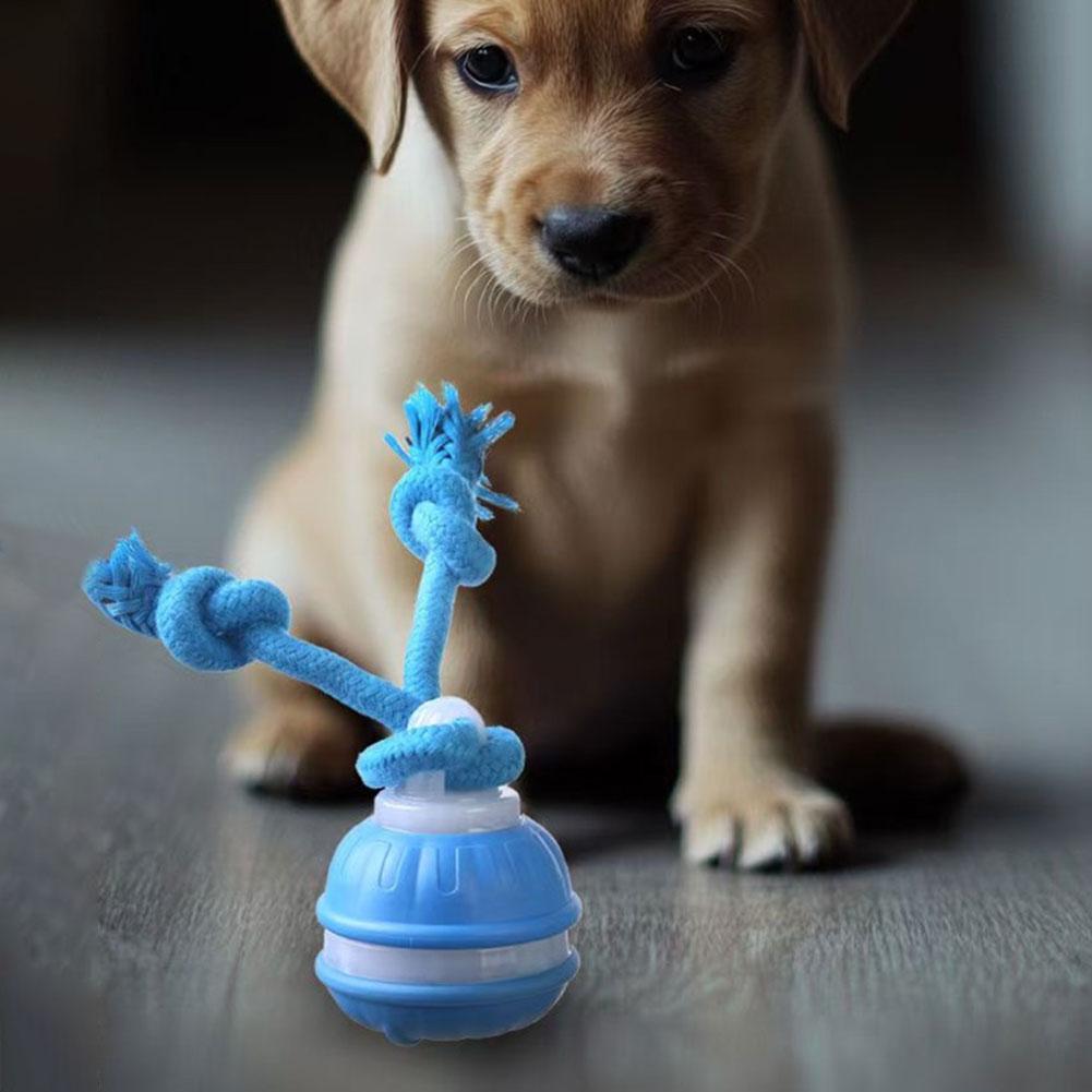 Interactive Dog Toys USB Rechargeable Motion Activated Dog Ball Automatic Dog Ball for Medium Small Dogs Puppy