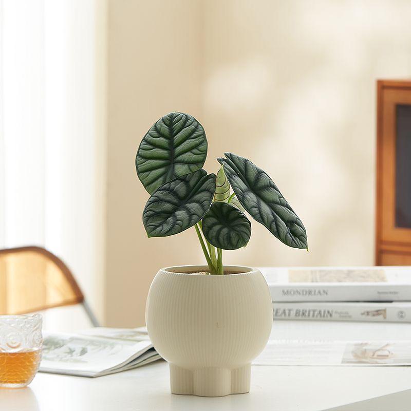 Retro High-Leg Ceramic Flower Pot for Phalaenopsis, Green Radish, and Spider Plant in Cream Style