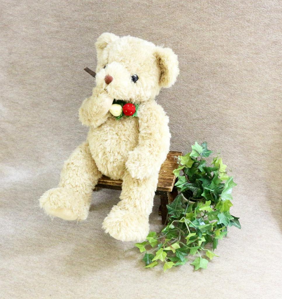 Wild Strawberry Bear Medium Beige
