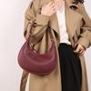Fashi Niche Women's Crescent Bag 2026 Underarm Bag Hobos New Handbag Multifunctial Crossbody Bag Shoulder Bags