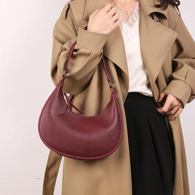 Fashi Niche Women's Crescent Bag 2026 Underarm Bag Hobos New Handbag Multifunctial Crossbody Bag Shoulder Bags