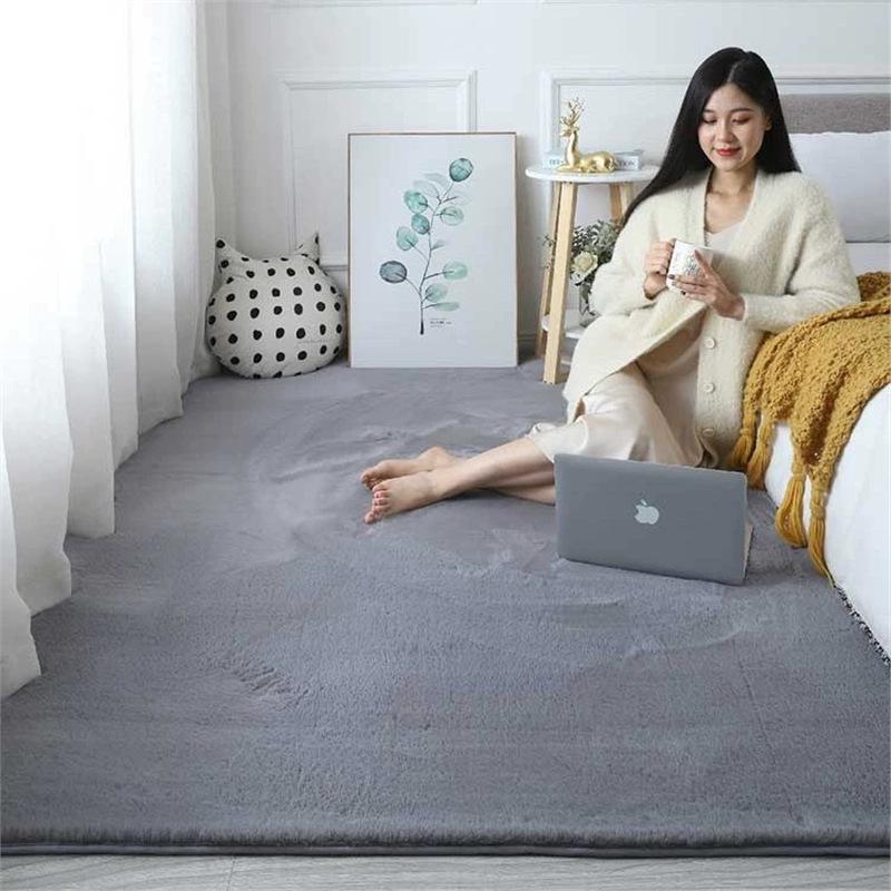Instyle Thick Plush Imitation Rabbit Fur Carpet for Bedroom, Living Room, or Bay Window