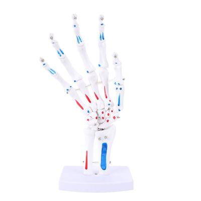 Verzamelen en modelbouw – Actiefiguren