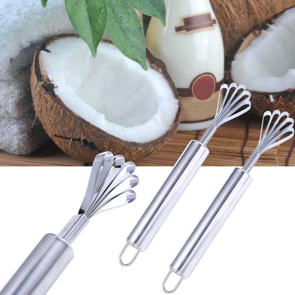 Tool Multi-Purpose Stainless Steel Slicer Grater Fish Scaler Coconut Shaver Coconut Meat Remover