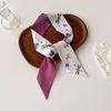 Wind Small Streamer Long Scarf Ribbon Tie Bag Versatile Decorative Headband Printed Scarf with Hand Scarf