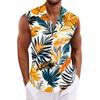 Men's Hawaiian Lapel Button-down Shirt T-shirt Top