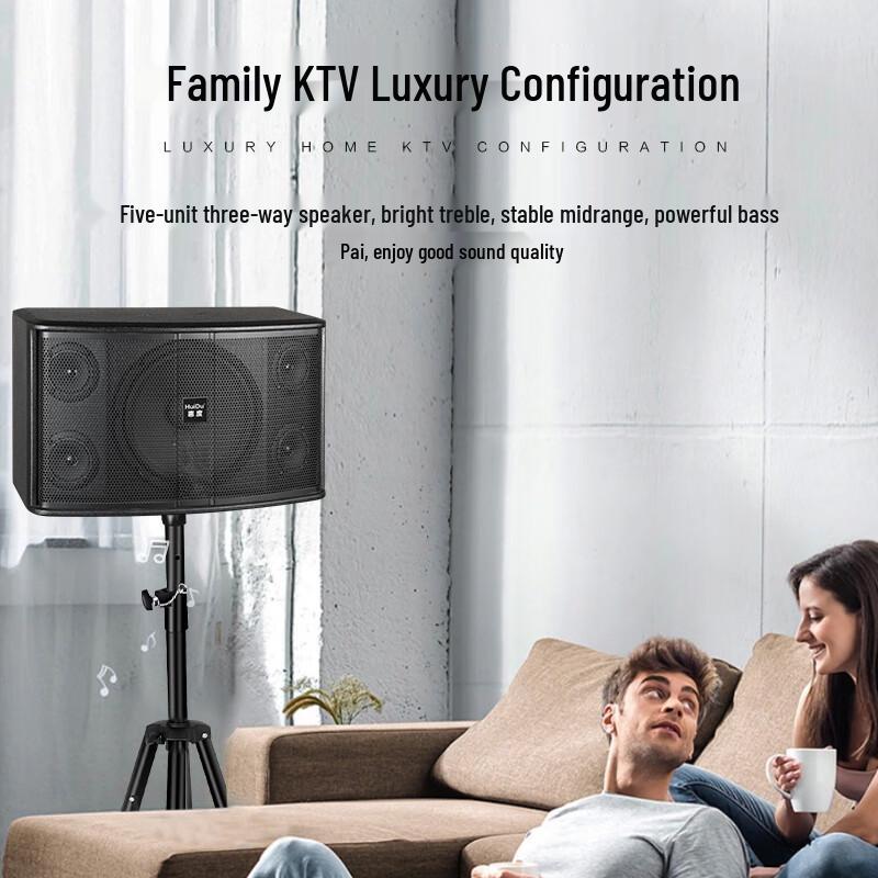 HuiDu CP-10F 10-inch 3-Way HiFi KTV Speaker
