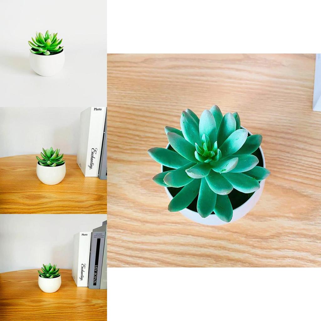 Simulated Succulent Bonsai Pot With Lightweight Pvc For Home Office Interior Design