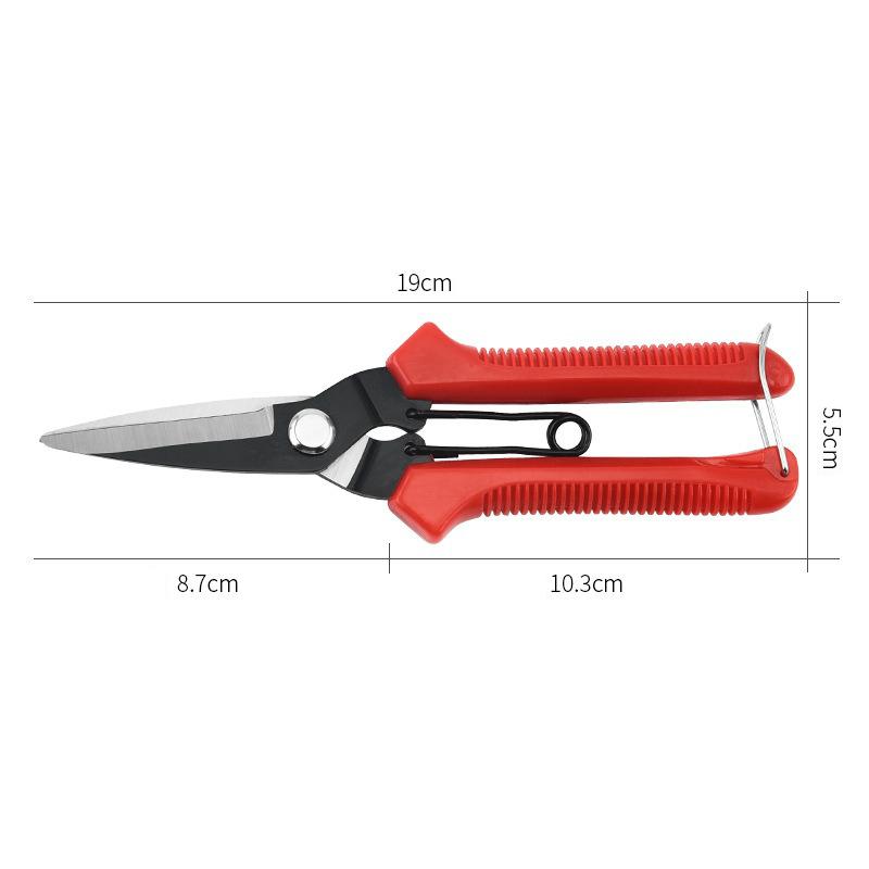 Stainless Steel Pruning Shears - Sharp Garden Scissors for Flower, Plant & Bonsai Trimming, Red Non-Slip Handle Gardening Tool