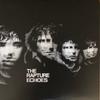 LP Record RAPTURE  Echoes DFA2130 DFA 2023 Worldwide Rock