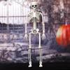 Halloween Human Skeleton 40Cm Movable Skeleton Human Skeleton Halloween Horror Decorations Haunted House Horror Props