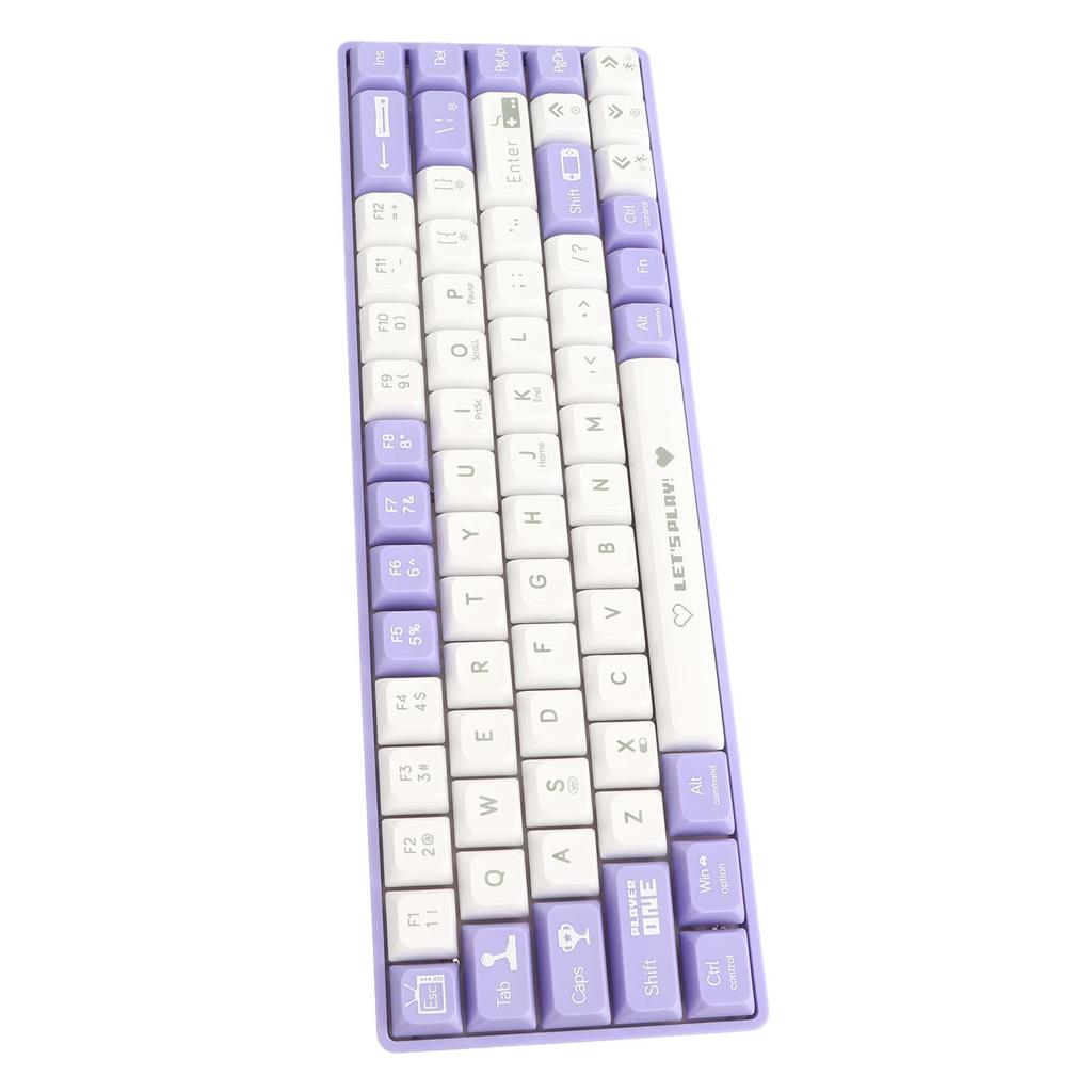 68 Keys Wired Mechanical Gaming Keyboard Hot Swappable Dynamic Backlighting Red Switch Mechanical Keyboard for Gaming