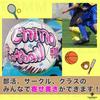 TOMMYFIELD Signierter Ball Fußball Nr.. 3 Nr. 4 Nein. 5 Autogramm-Gedenkfußball Nr.. 3