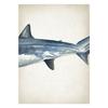 Marine Animals Canvas Paintings Great White Shark Posters and Prints Killer Whale Wall Art Picture for Home Decoration No Frame