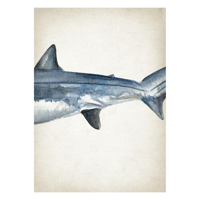 Marine Animals Canvas Paintings Great White Shark Posters and Prints Killer Whale Wall Art Picture for Home Decoration No Frame