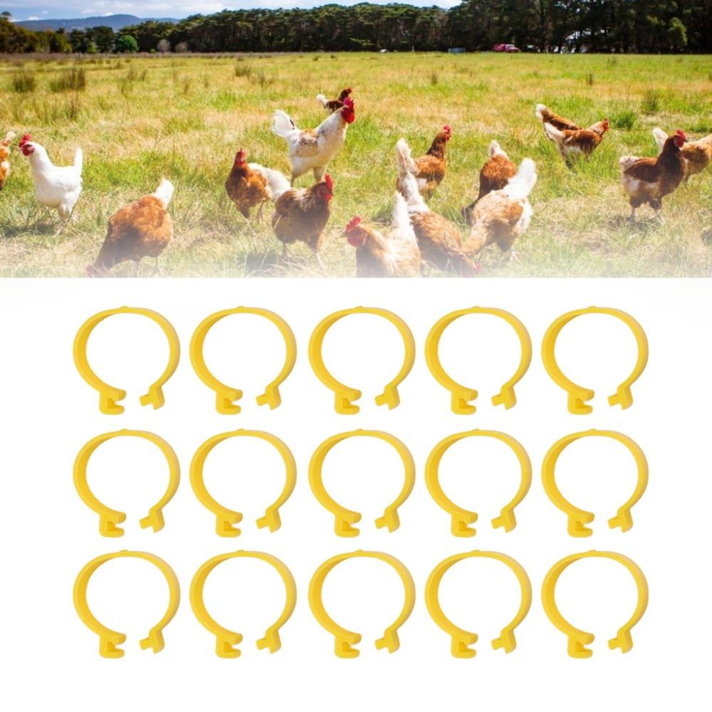 100Pcs Plastic Chicken Ankle Rings Yellow Poultry Feet Rings Geese Leg Rings For Breeding Ducks