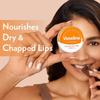 Vaseline Lip Tins Cocoa Butter 17 G Pack Of 2 Moisturizing Lip Balm For Dry Lips With Glossy Shine