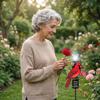 Solarbetriebener Gedenkpfahl Metall-Gartenplakette mit Kardinal- und Rosenmotiv für Friedhof oder Außenbereich Immer geliebt Nie vergessen