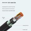 Outdoor Armored 100-Pair Voice Communication Cable