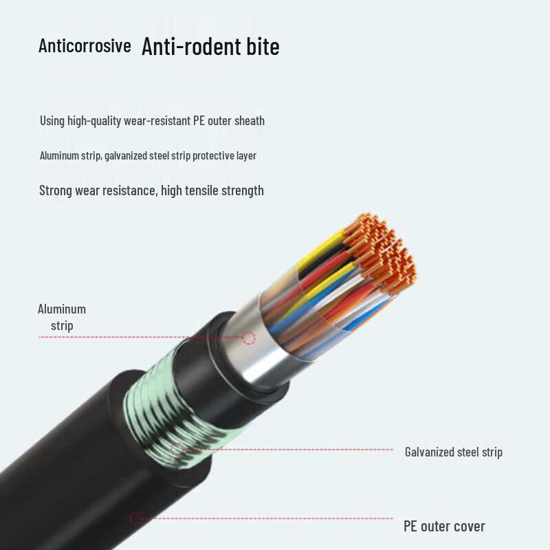 Outdoor Armored 100-Pair Voice Communication Cable