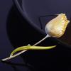 Nuova Spilla Fiore Rosa Smaltato Moda Temperamento Carina Spilla Elegante Olio Gocciolante Accessori Corsage Femminile